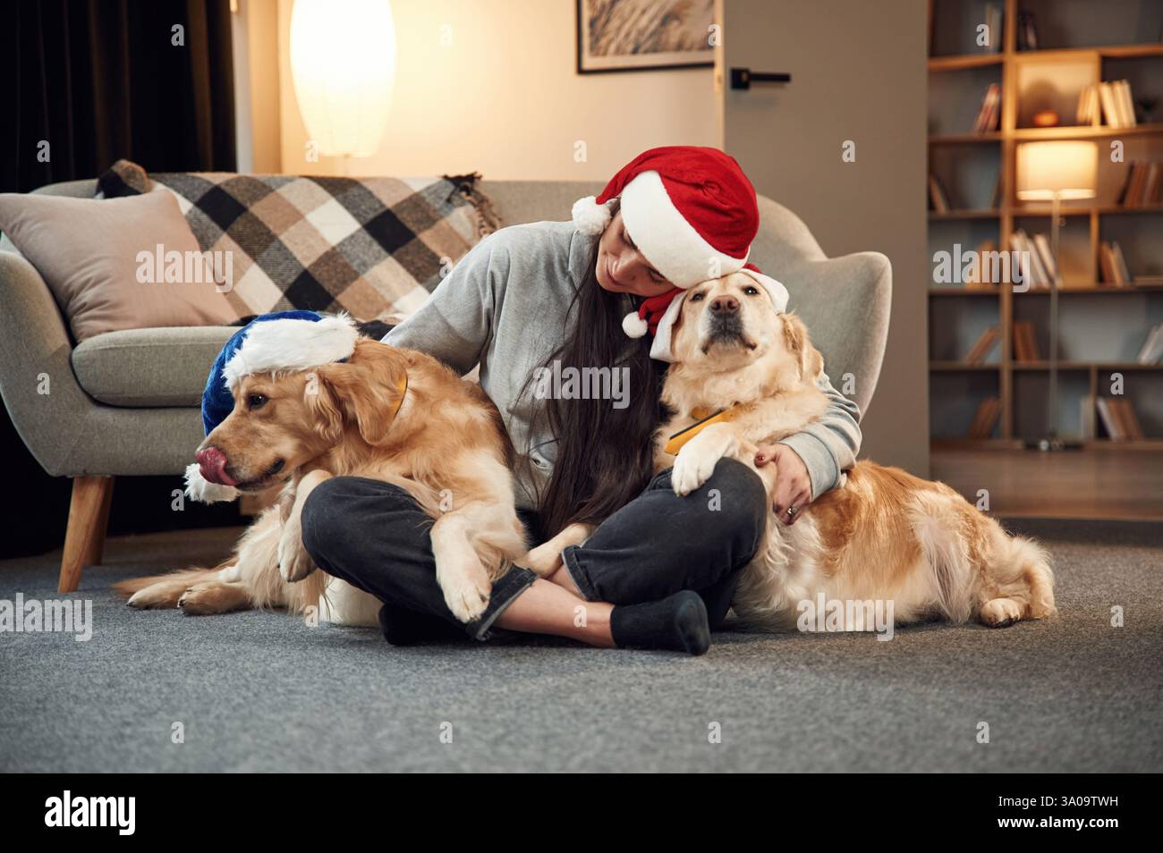Festeggiamo l'anno nuovo. Nei cappelli di Babbo Natale. La donna e' con due cani Golden retriever a casa. Foto Stock
