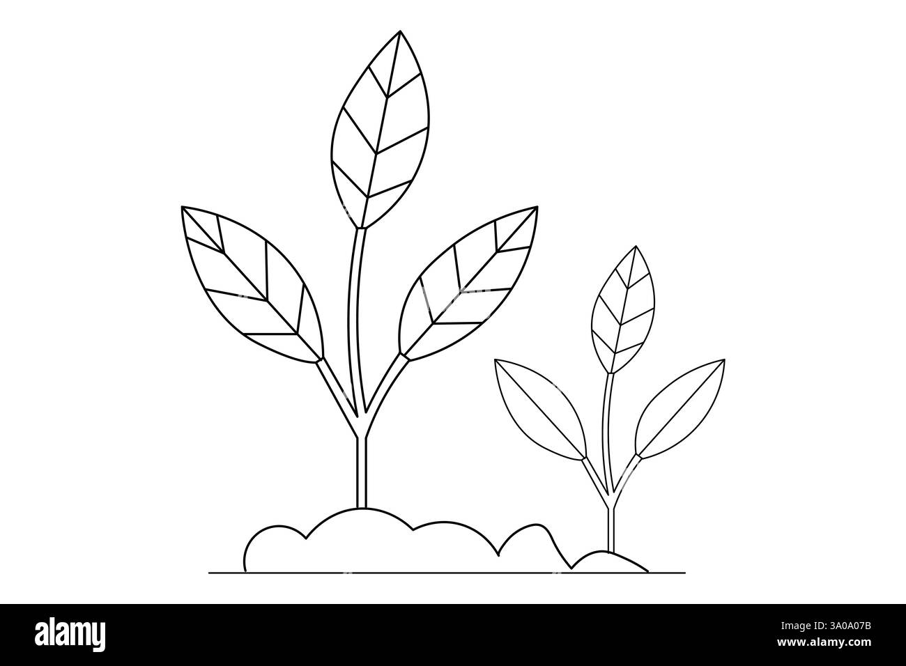 Lavorazione di piante in crescita grafica continua su una linea e illustrazione vettoriale minimalista con contorno isolato Illustrazione Vettoriale