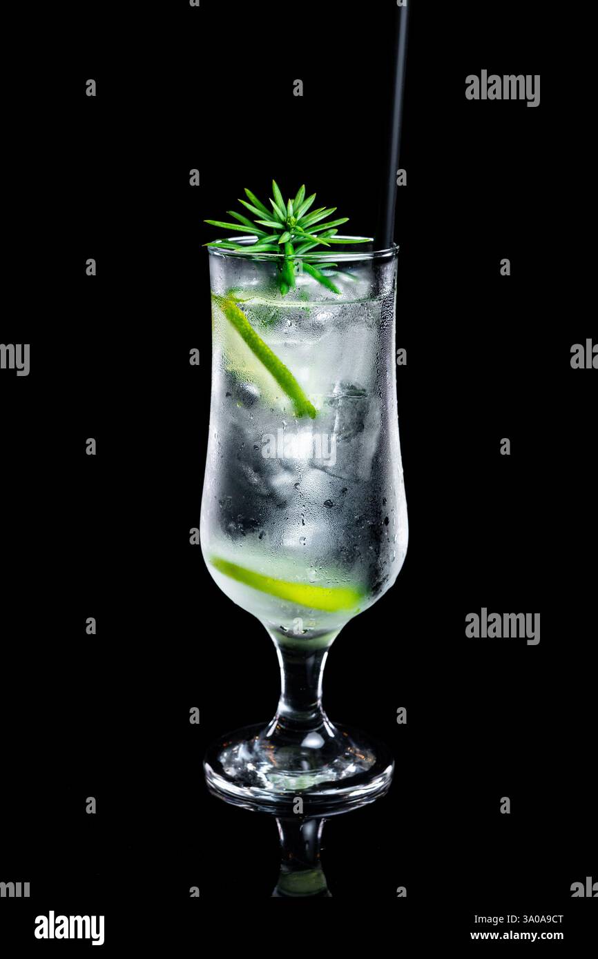 Gin e tonico premium con lime e rosmarino, servito in un elegante bicchiere su sfondo nero Foto Stock