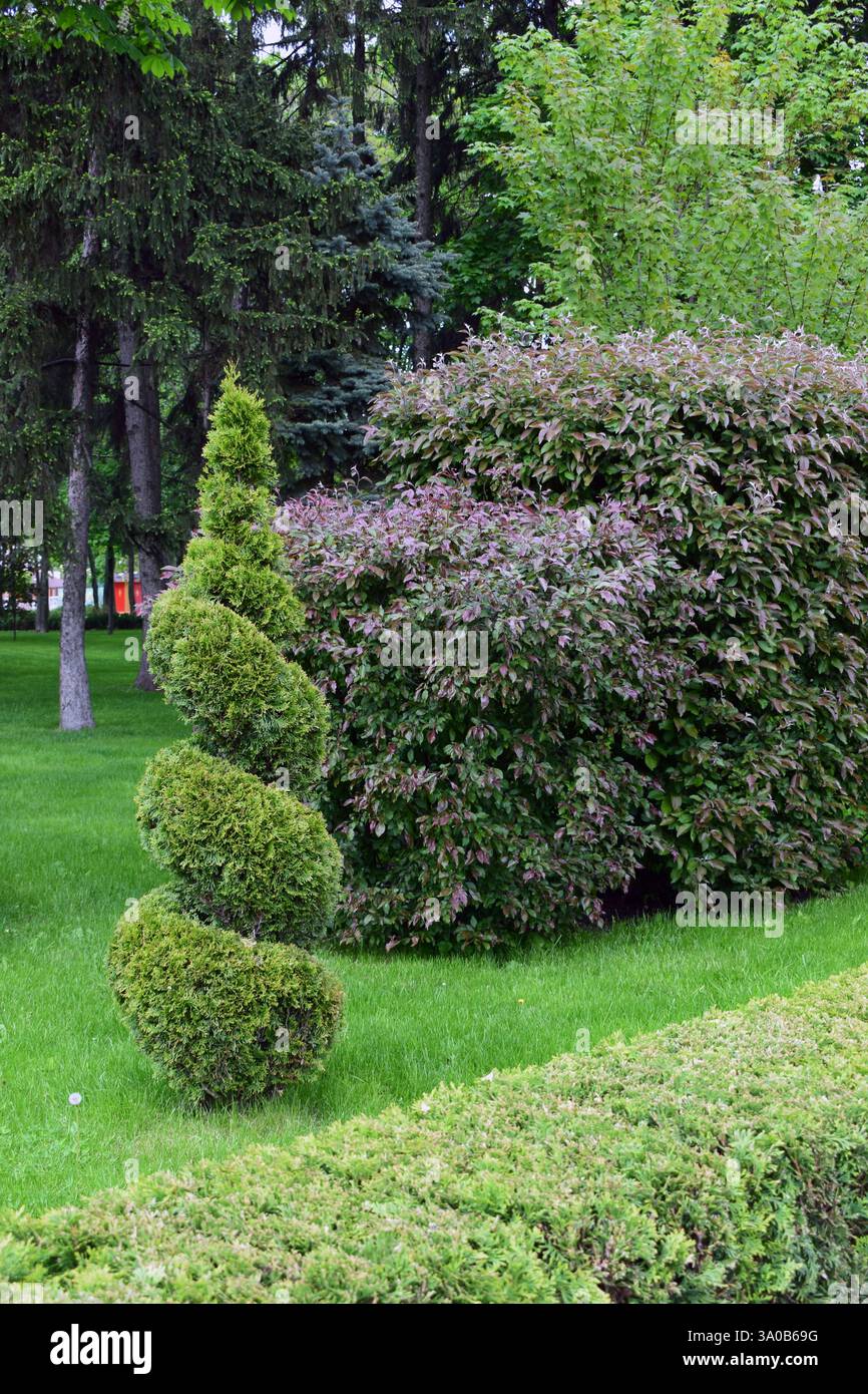 Un giardino ben tenuto con lussureggiante erba verde e vari tipi di arbusti e alberi. Una caratteristica prominente è un topiario a forma di spirale, che spicca Foto Stock