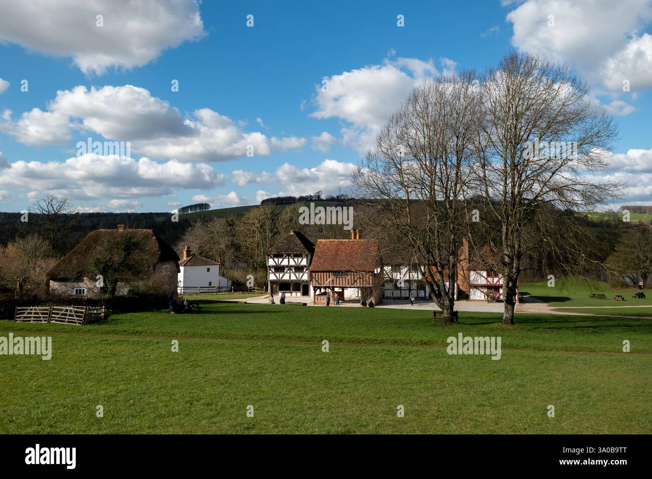 Edifici e praterie all'interno del museo vivente Weald and Downland. Febbraio 2025. Foto Stock