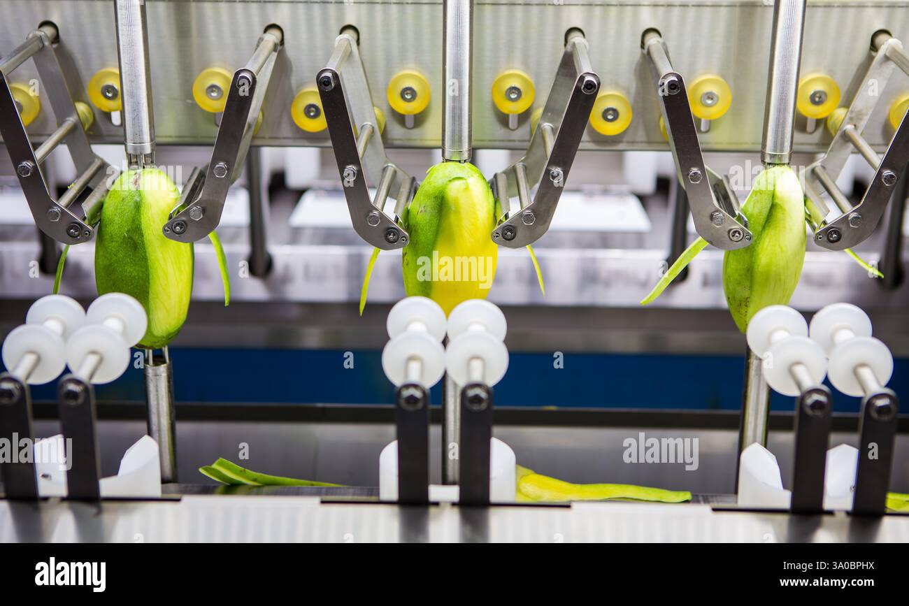 Macchina per peeling di frutta e verdura. Pelapatate automatico. Foto Stock