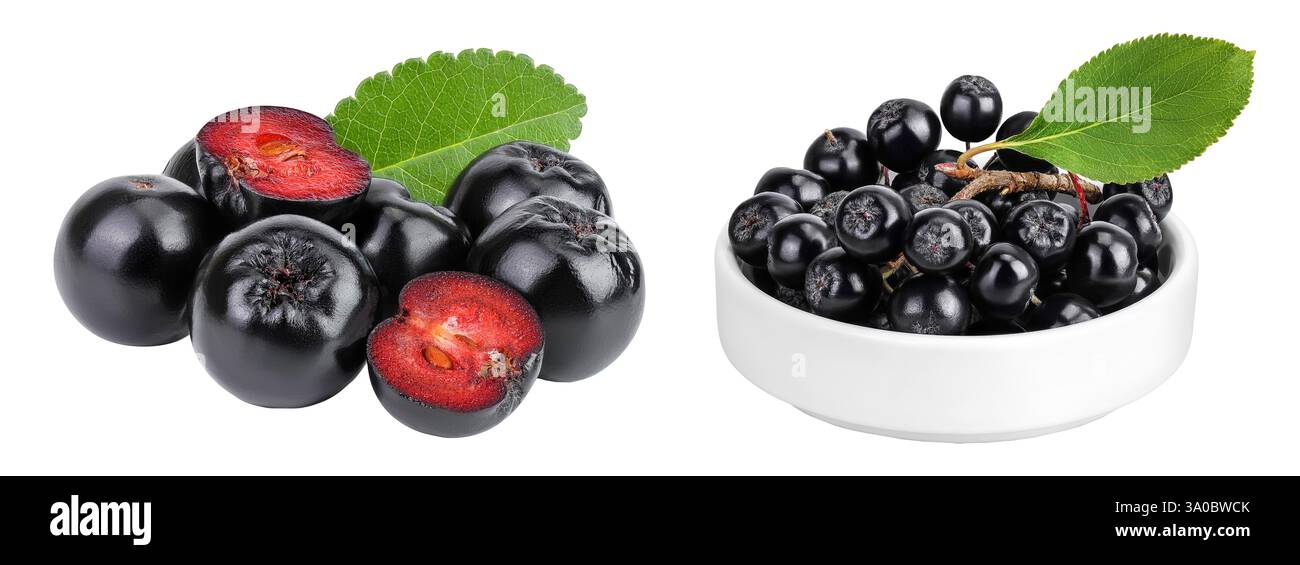 Cioccolato con foglia in un recipiente in ceramica isolato su sfondo bianco. Aronia nera. Foto Stock