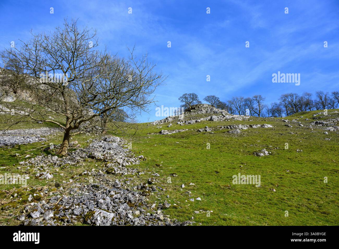 Derbyshire, Peak District National Park Landscape Foto Stock
