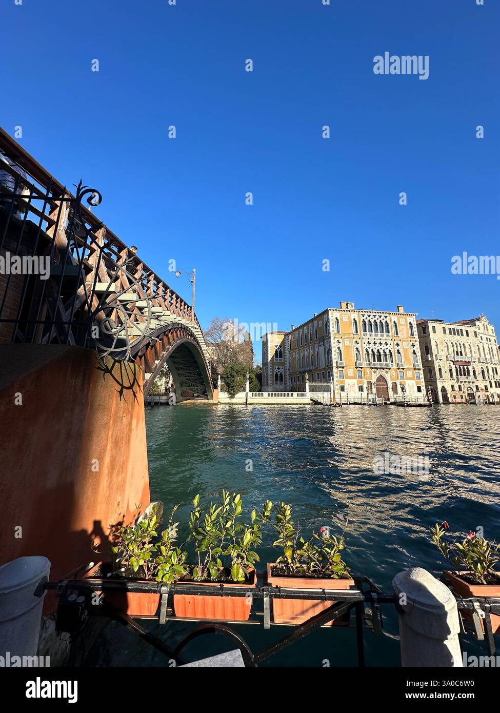 Venezia, dove ogni ponte porta alla bellezza e alla storia. 🌊✨ Una città costruita sull'acqua, che galleggia nel tempo. 🇮🇹 #VeniceViews #GrandCanalMagic - Immagine stock catturata con smartphone