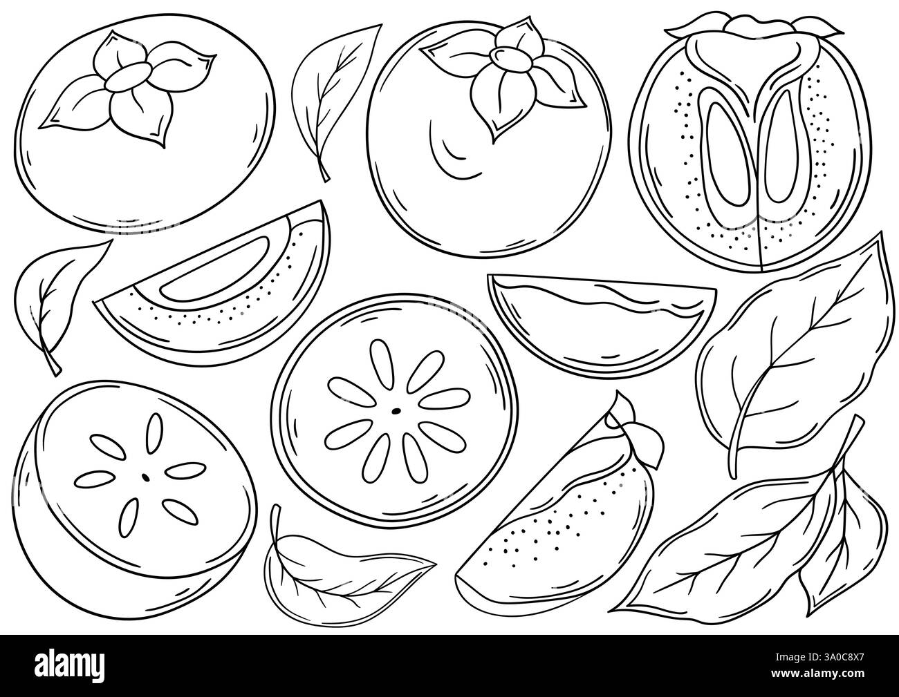 Cachi. Set di illustrazioni monocromatiche in stile disegno a mano. Disegno a mano, contorno nero. Design per colorare, cartoline. Icone, cartelli, adesivi, pi Illustrazione Vettoriale