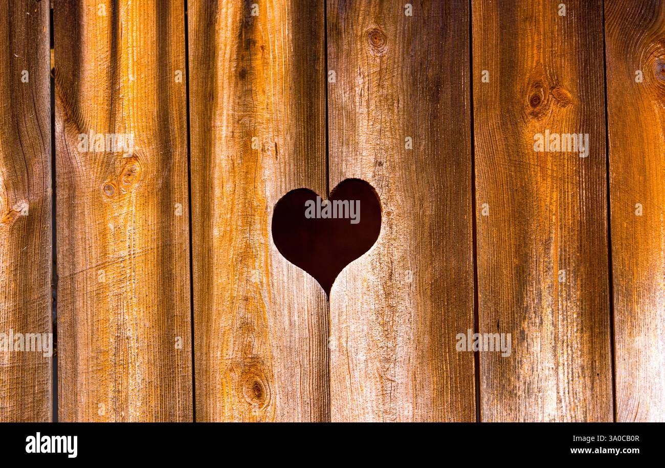 Cuore di legno segato su toilette esterna a Rietberg, Renania settentrionale-Vestfalia, Germania Foto Stock