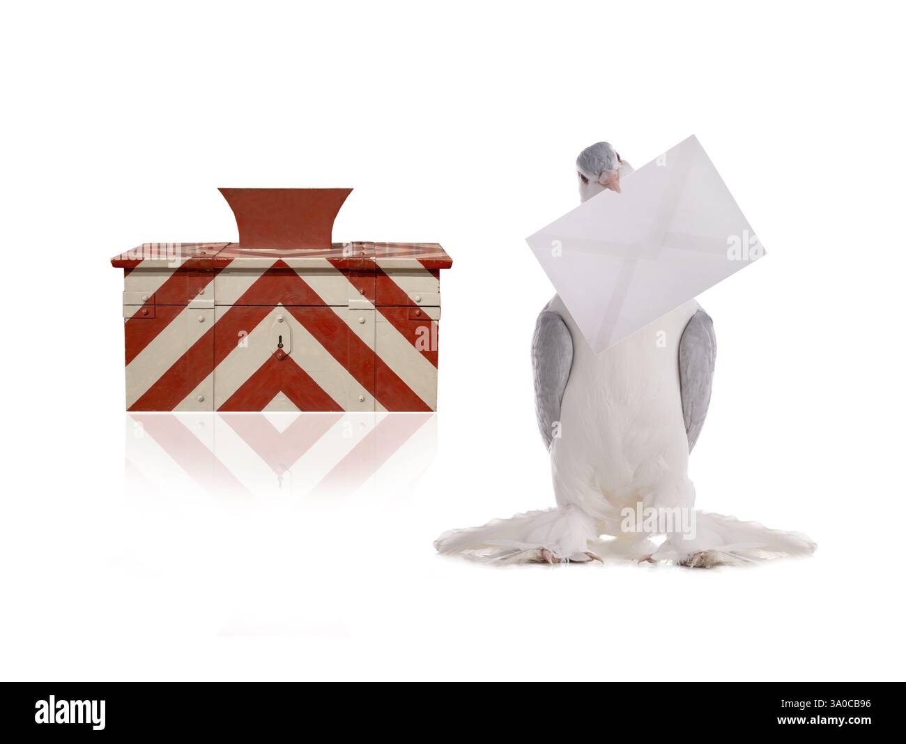 colomba con una lettera e una cassetta postale polacca isolata su sfondo bianco Foto Stock colomba con una lettera e una cassetta postale polacca isolata su sfondo bianco Foto Stock