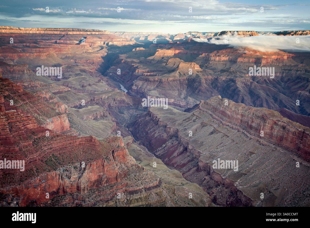 Vista da Lipan Point Foto Stock