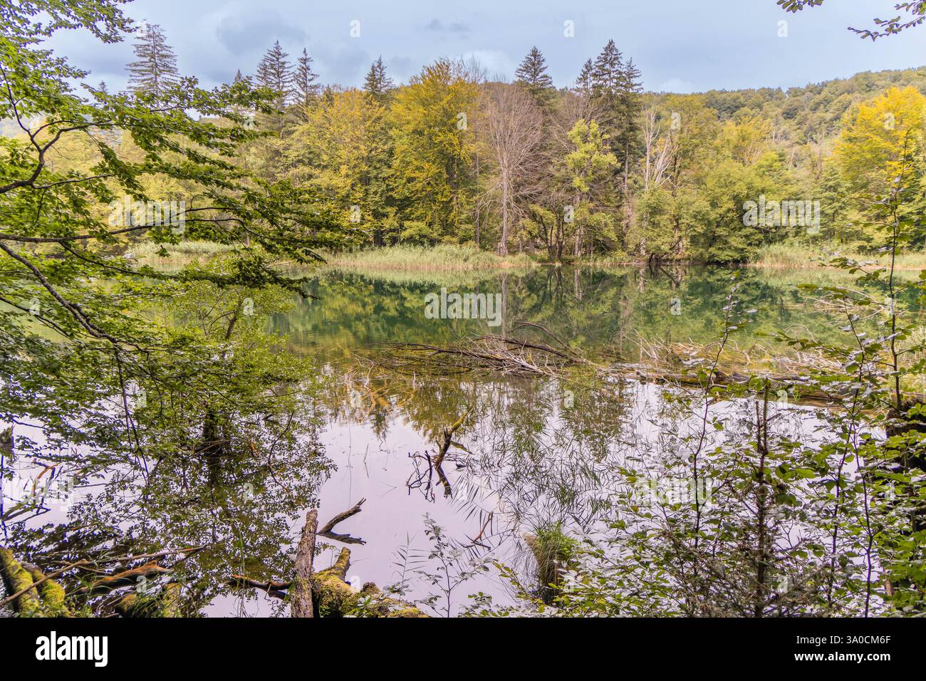 Il lago Proscansko è uno dei laghi più grandi del parco nazionale dei laghi di Plitvice in Croazia Foto Stock