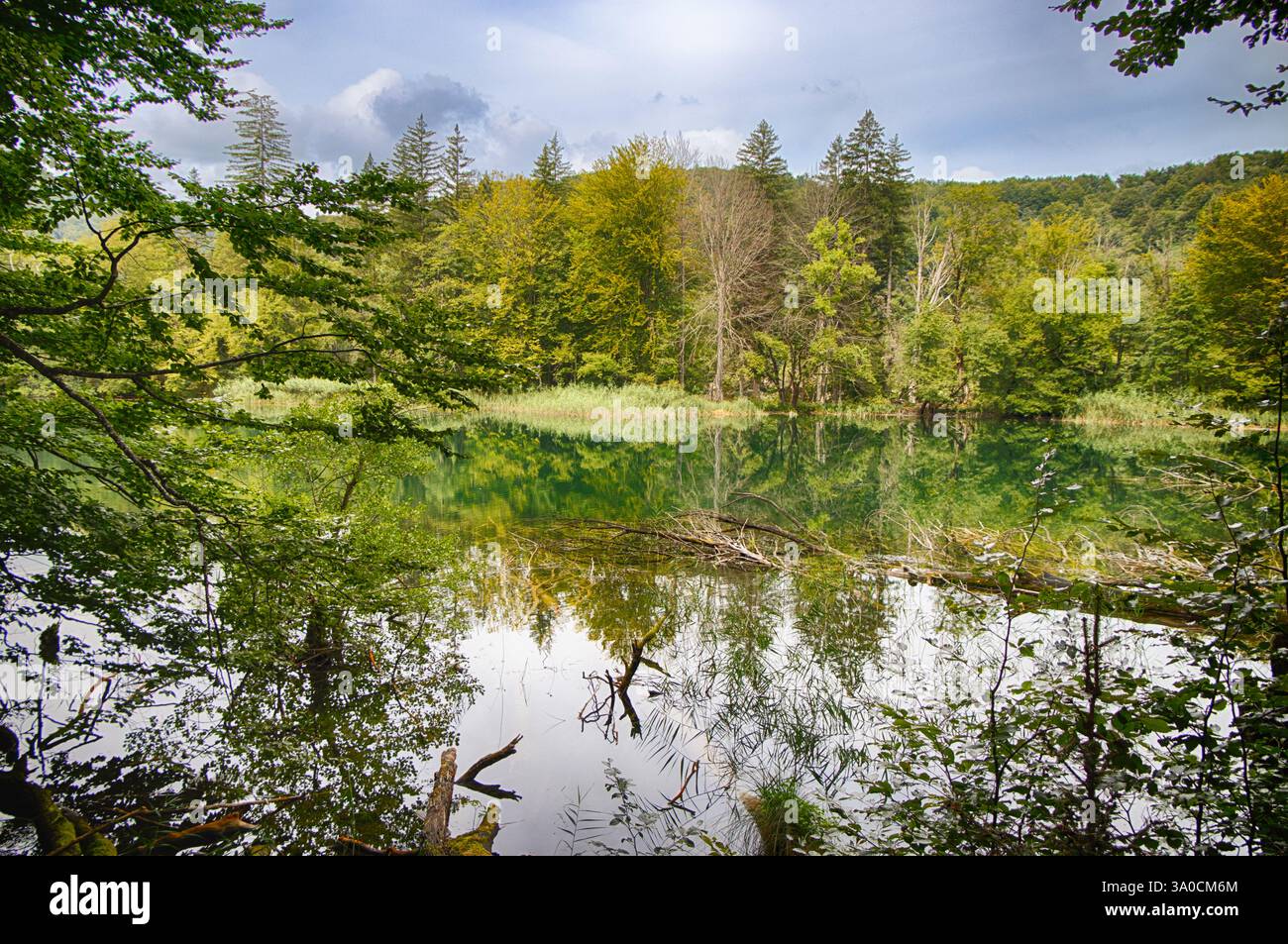 Il lago Proscansko è uno dei laghi più grandi del parco nazionale dei laghi di Plitvice in Croazia Foto Stock