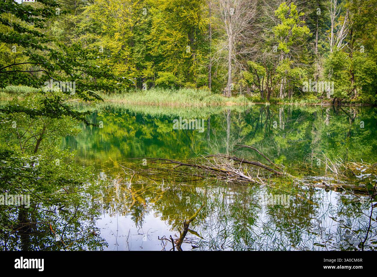 Il lago Proscansko è uno dei laghi più grandi del parco nazionale dei laghi di Plitvice in Croazia Foto Stock