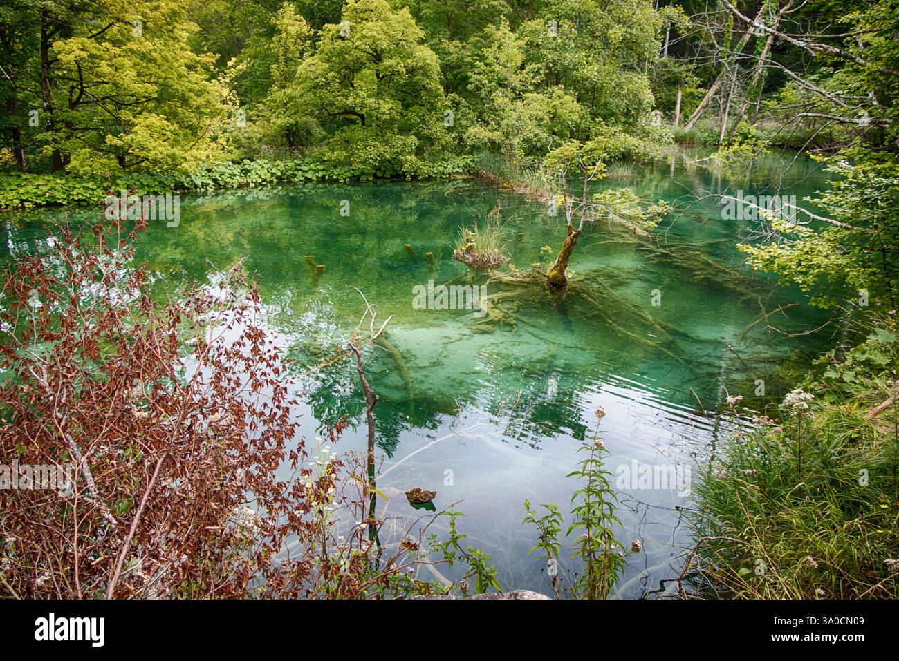 Il lago Milino Jezero del Parco Nazionale dei Laghi di Plitvice in Croazia nella regione di Lika. Plitvicka Jezera, patrimonio mondiale dell'UNESCO della Croazia. Foto Stock