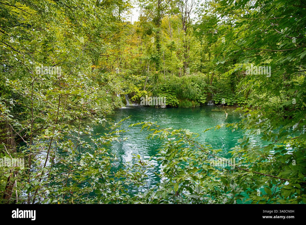 Il lago Milino Jezero del Parco Nazionale dei Laghi di Plitvice in Croazia nella regione di Lika. Plitvicka Jezera, patrimonio mondiale dell'UNESCO della Croazia. Foto Stock