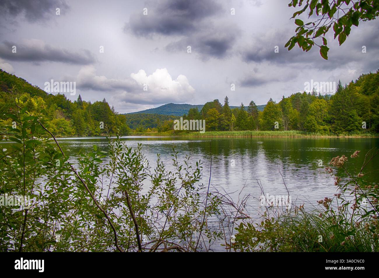 Gradinsko jezero Lago che si riflette nel Parco Nazionale dei Laghi di Plitvice della Croazia nella regione di Lika. Sito patrimonio dell'umanità dell'UNESCO. Foto Stock