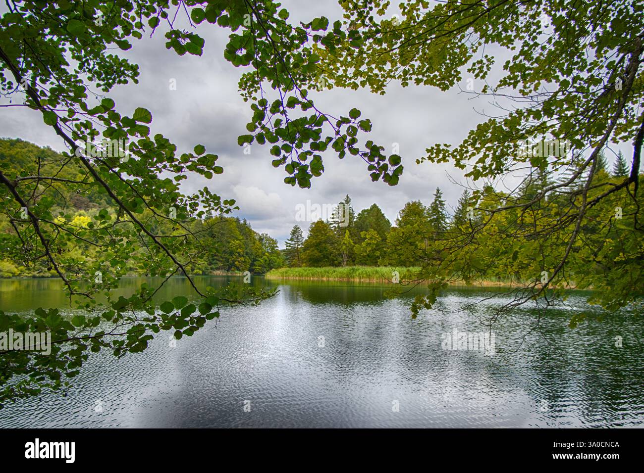 Gradinsko jezero Lago che si riflette nel Parco Nazionale dei Laghi di Plitvice della Croazia nella regione di Lika. Sito patrimonio dell'umanità dell'UNESCO. Foto Stock
