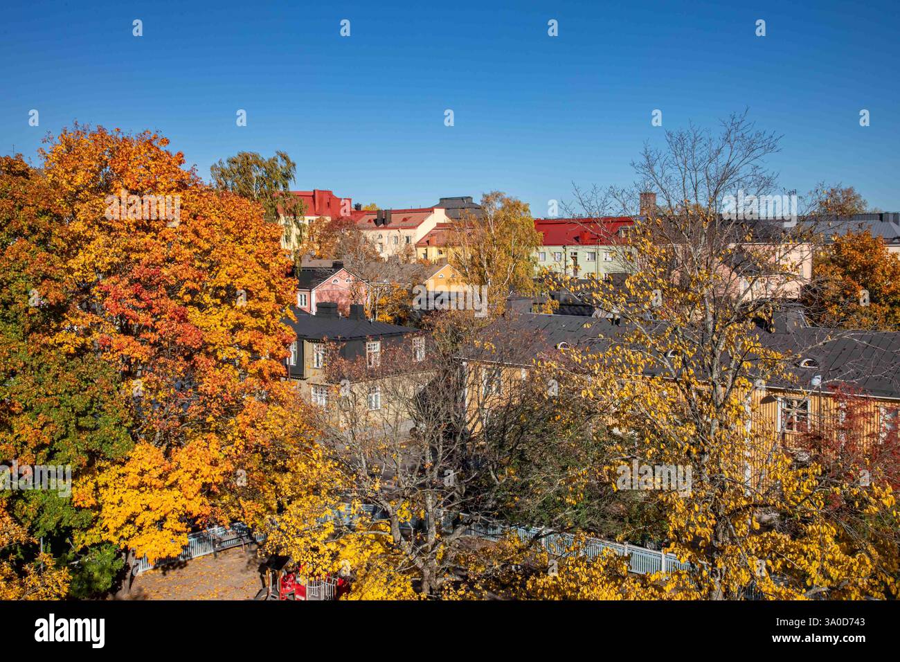 Colori autunnali ed edifici residenziali nel quartiere Puu-Vallila di Helsinki, Finlandia Foto Stock