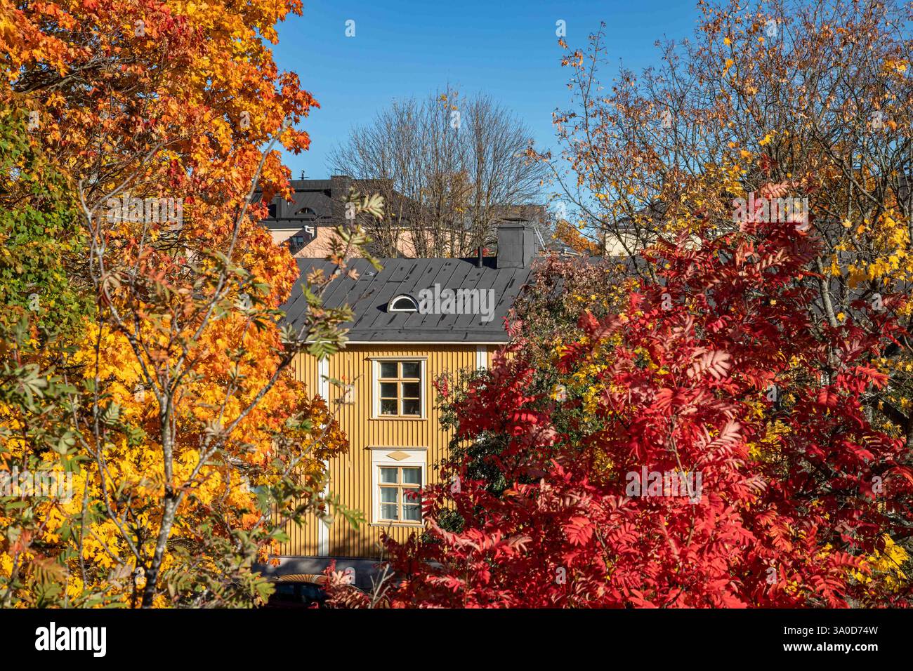 Edificio residenziale in legno incorniciato dai colori autunnali nel quartiere Puu-Vallila di Helsinki, Finlandia Foto Stock