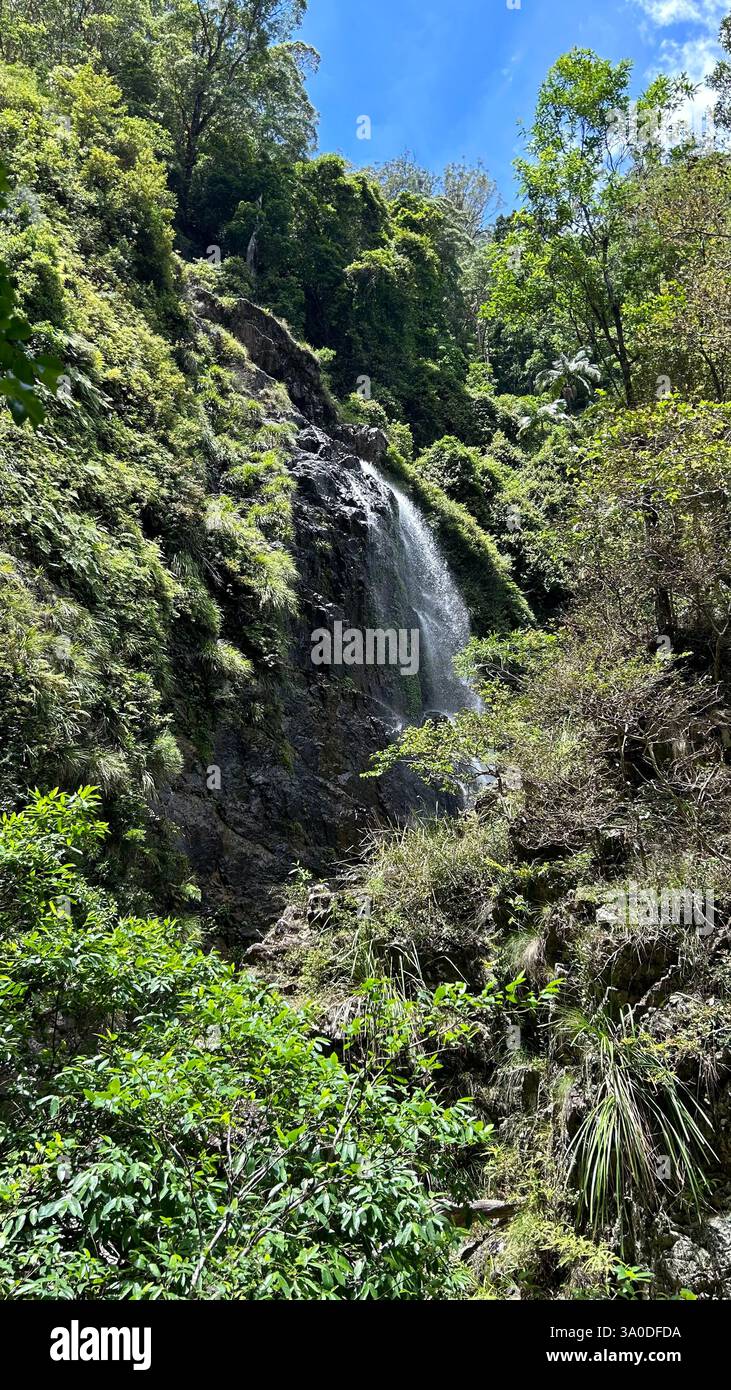 waterfall way, nsw - Immagine stock catturata con smartphone