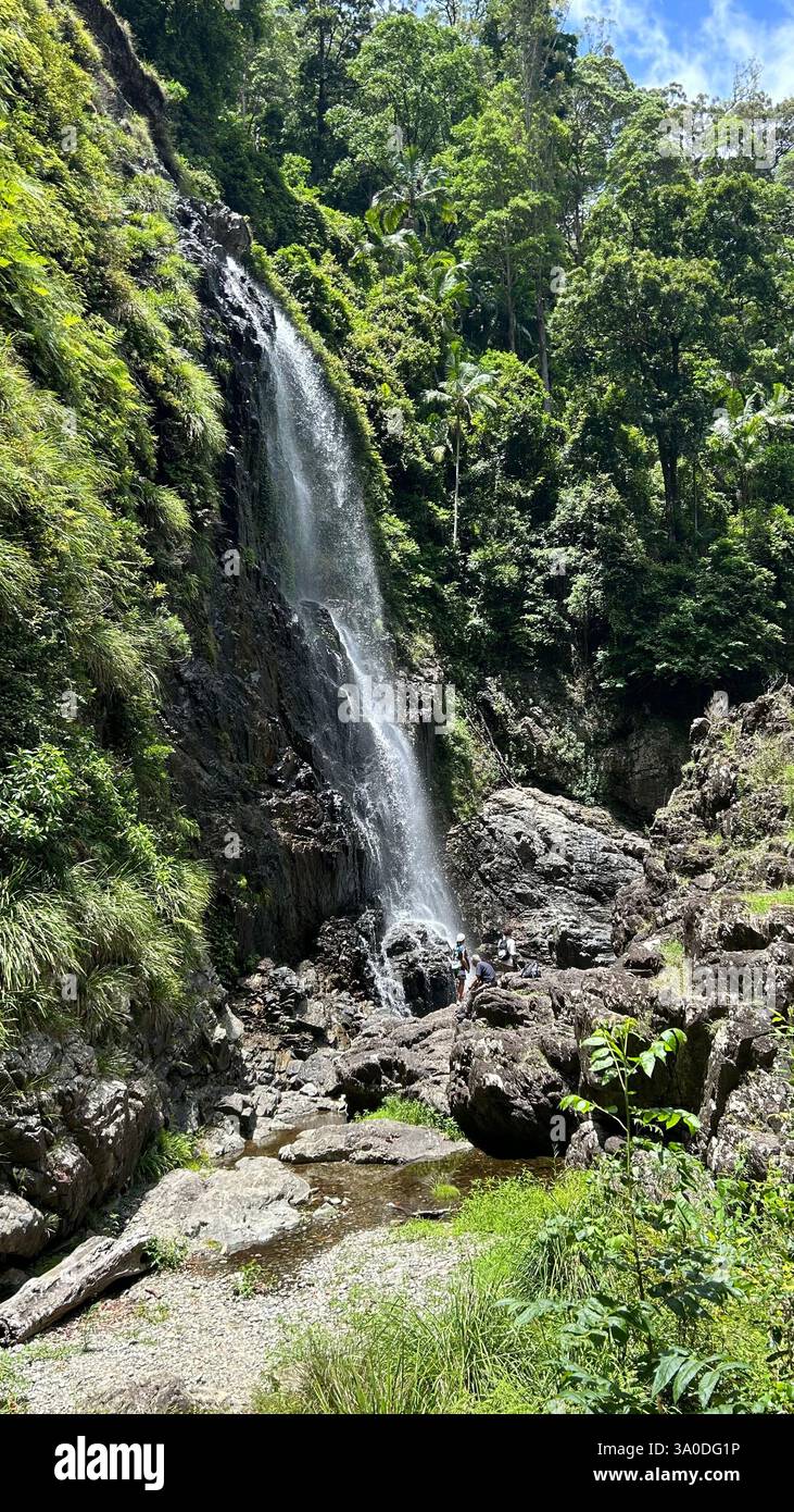 waterfall way, nsw - Immagine stock catturata con smartphone