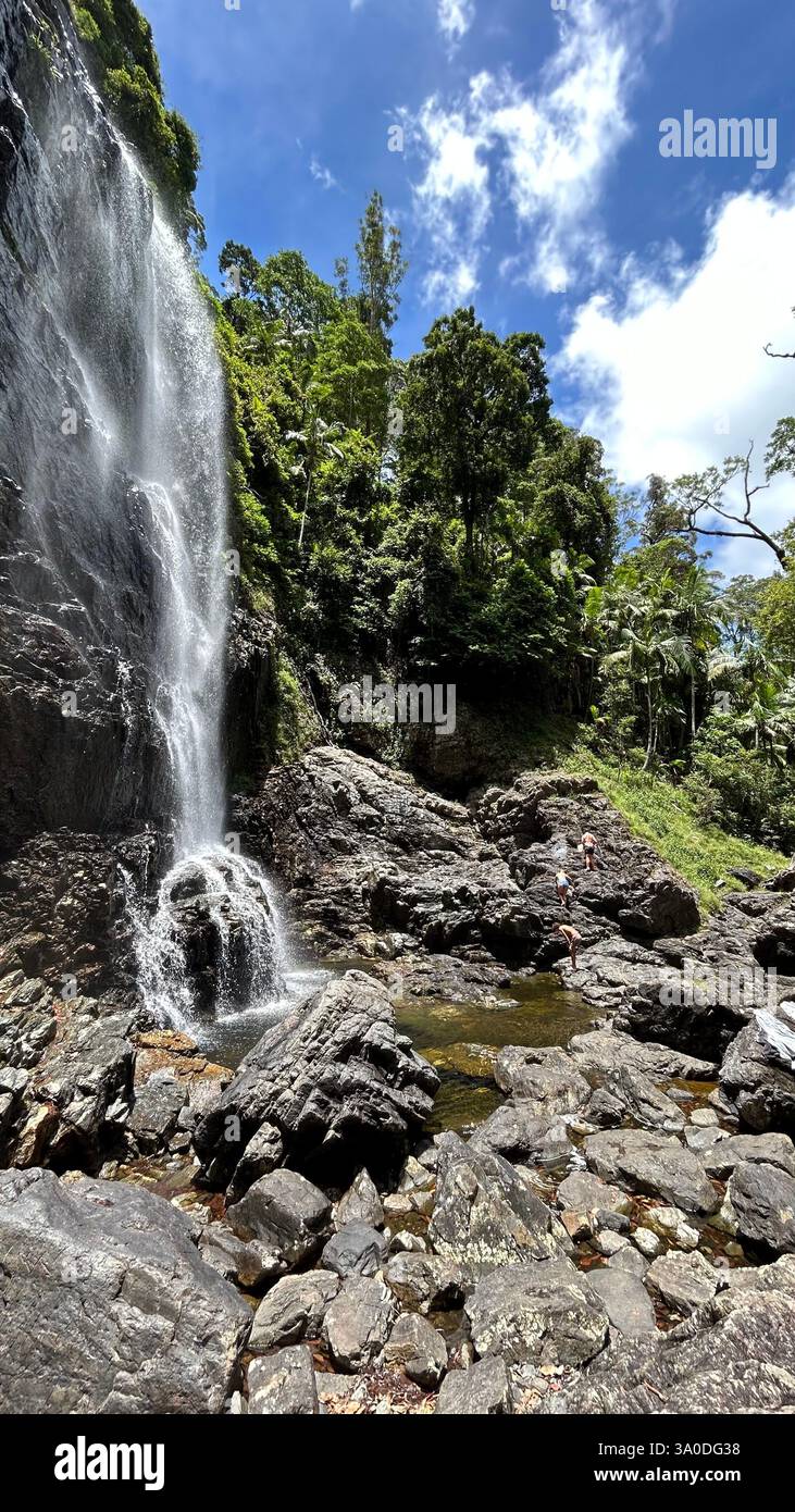 waterfall way, nsw - Immagine stock catturata con smartphone