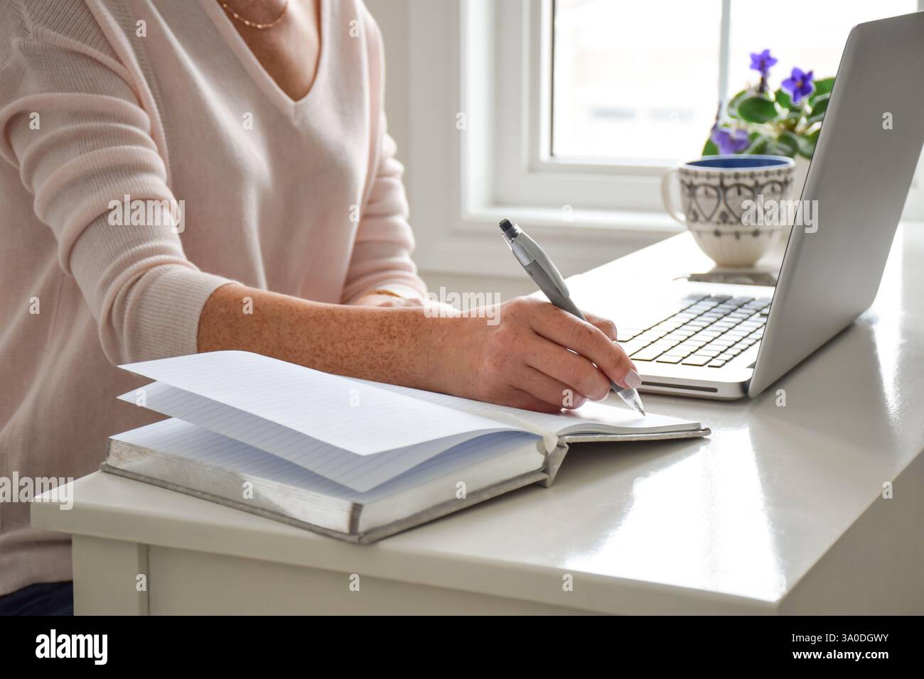 Donna seduta a una scrivania con un computer portatile che scrive appunti nel notebook Foto Stock