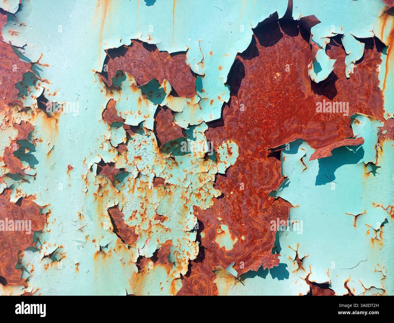 Motivi intricati emergono da una superficie arrugginita dove si stacca la vernice vibrante, che mostra opere d'arte della natura. Questa trama racconta storie di tempo ed expo Foto Stock