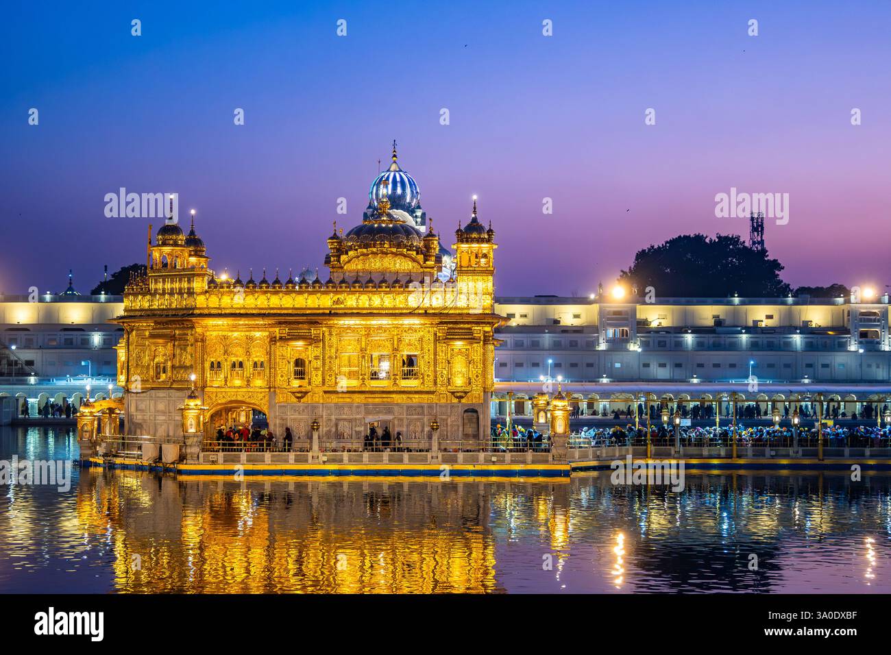 Il Tempio d'Oro, o Harmandir Sāhib, mostra tutta la sua gloria con il cielo colorato al tramonto. Amritsar, Punjab, India. Foto Stock Il Tempio d'Oro, o Harmandir Sāhib, mostra tutta la sua gloria con il cielo colorato al tramonto. Amritsar, Punjab, India. Foto Stock