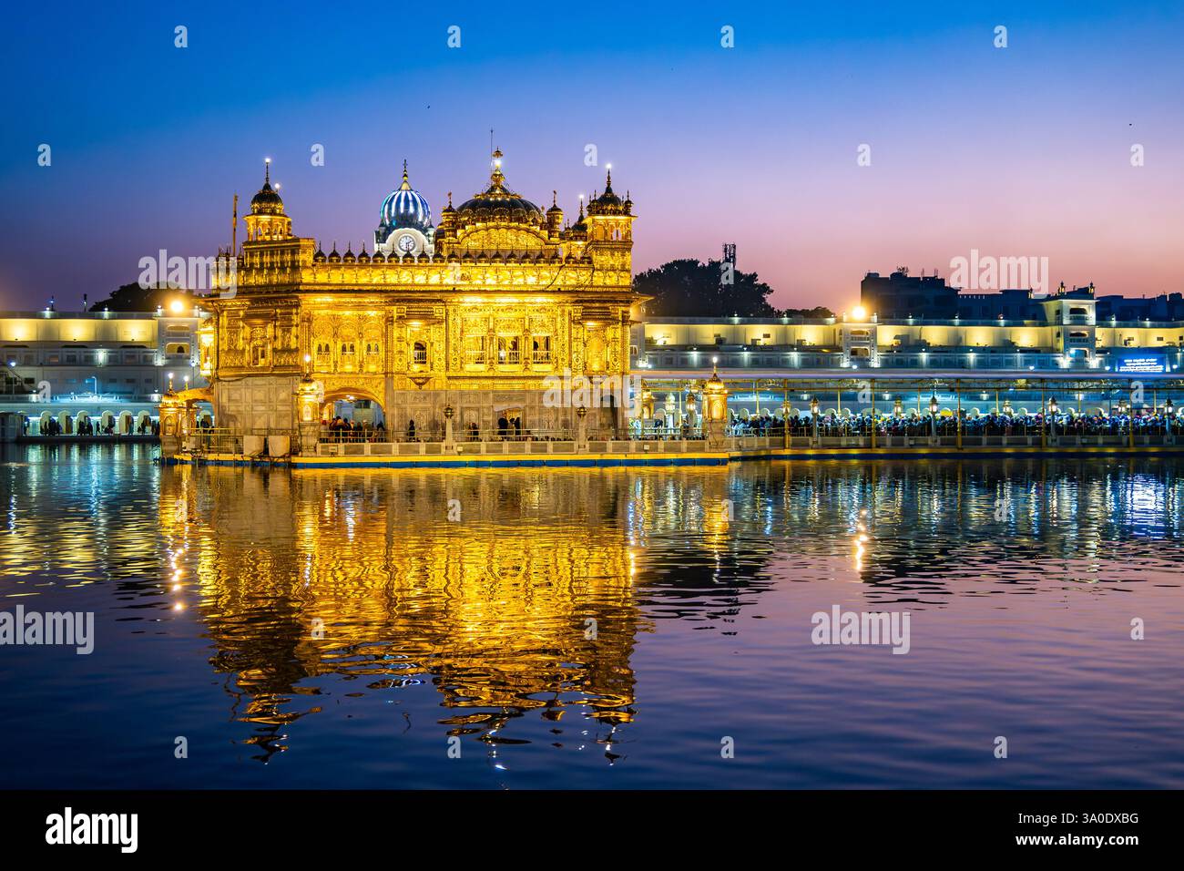 Il Tempio d'Oro, o Harmandir Sāhib, mostra tutta la sua gloria con il cielo colorato al tramonto. Amritsar, Punjab, India. Foto Stock Il Tempio d'Oro, o Harmandir Sāhib, mostra tutta la sua gloria con il cielo colorato al tramonto. Amritsar, Punjab, India. Foto Stock