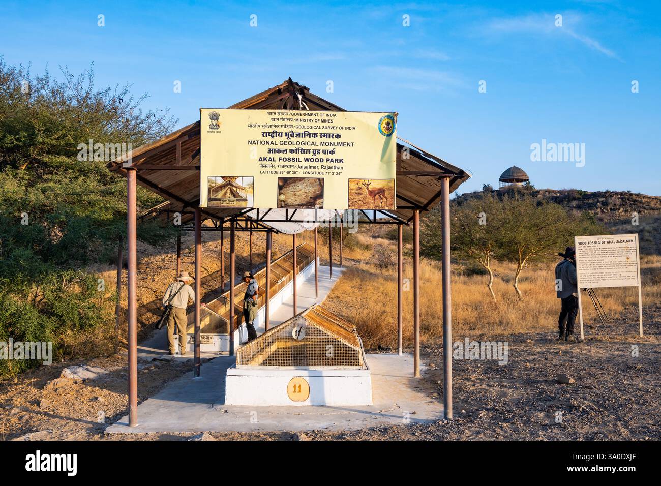 Legno pietrificato protetto in gabbie metalliche presso l'Akal Fossil Wood Park. Rajasthan, India. Foto Stock