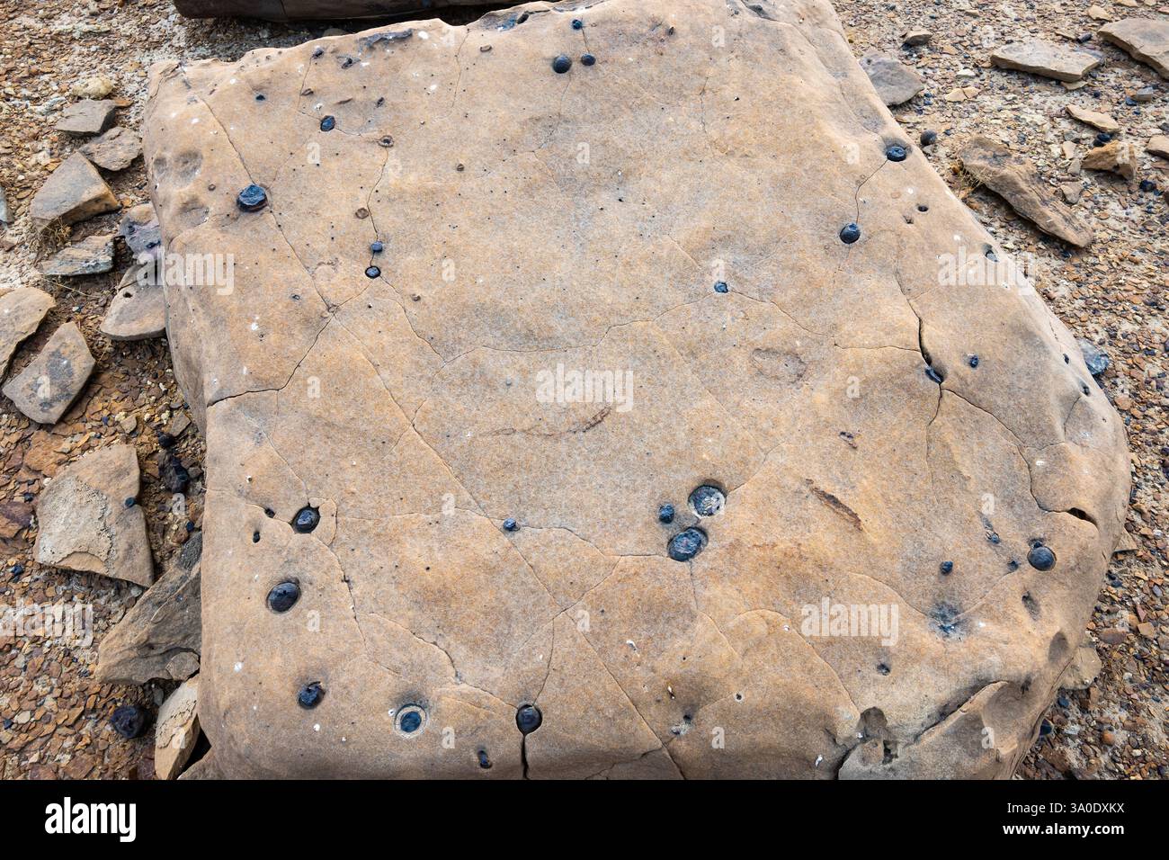 Goccioline di basalto a forma di sfera dalla vicina eruzione vulcanica incastonate in arenaria. Rajasthan, India. Foto Stock