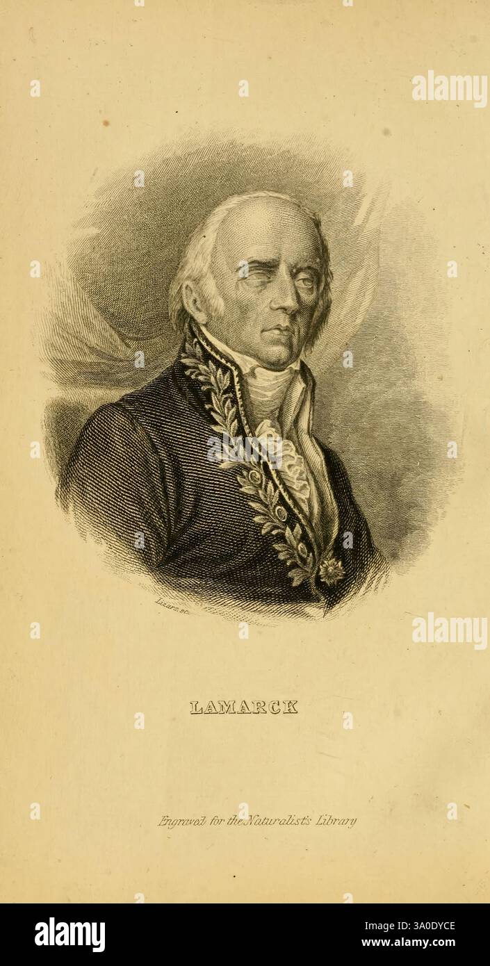 La biblioteca del naturalista, Edimburgo, W. H. Lizars, 1833-, Entomologia, ritratti, Lamarck, Jean-Baptiste Pierre Antoine de Monet, Chevalier de Lamarck, biologo, il ritratto presenta un distinto gentiluomo dall'espressione poderosa, vestito da un elegante cappotto scuro ornato da ricami intricati lungo il colletto e i revers. I suoi capelli sono ridisegnati e ha una fronte prominente, aggiungendo al suo aspetto dignitoso. Sotto il ritratto, è inciso il nome "Lamarck", che suggerisce il significato di questo individuo nella storia o nella scienza. La composizione complessiva rispecchia una forma e un rispetto Foto Stock