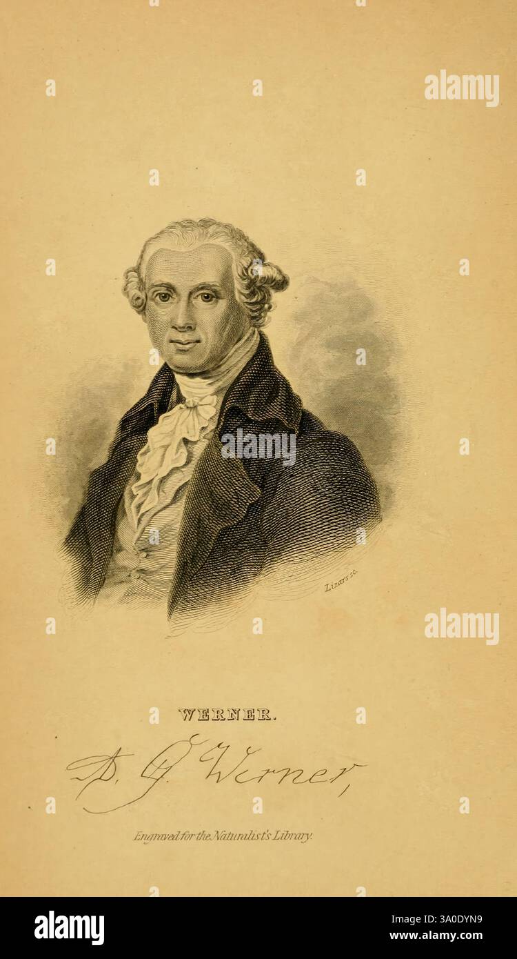 La storia naturale delle farfalle britanniche Dublin S. Highley 1840 opere pittoriche della Gran Bretagna Abraham Gottlob Werner William Home Lizars ritratti geologo neptunismo, Un ritratto di un gentiluomo della fine del XVIII secolo, caratterizzato dai suoi capelli ben disegnati e dall'espressione dignitosa. È vestito con un cappotto formale e una camicia a colletto alto, indicativa della moda del suo tempo. Sotto il ritratto, c'è una firma scritta a mano che recita "D. G. Werner", suggerendo che lui è il soggetto di questa opera d'arte. La composizione trasuda un senso di fermezza e rispettabilità, riflettendo il tipico Foto Stock