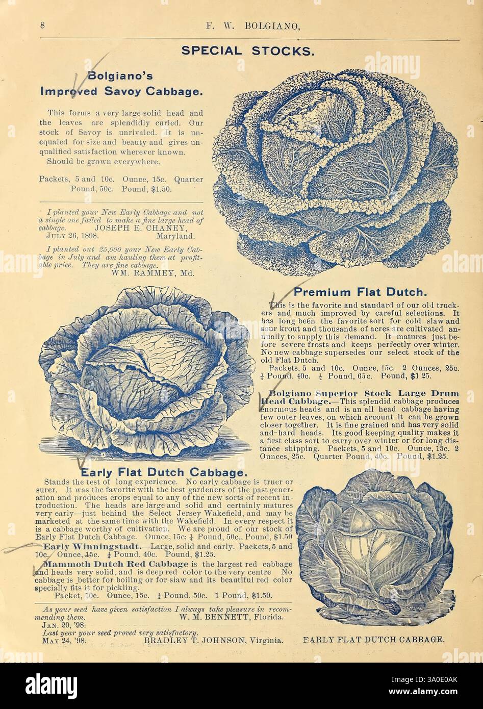 F. W. Bolgiano, i piantagioni hanno conquistato la fiducia per dieci anni. Washington, D.. C, F. W. Bolgiano, 1899. ortaggi, frutta, semi, cataloghi, utensili da giardino, vivai, orticoltura, bulbi, piante, giardini, in Bloom, una pagina dal design complesso con illustrazioni di vari tipi di cavolo. In cima viene evidenziato il "cavolo Savoia migliorato di Bolgiano", accompagnato da una dettagliata rappresentazione del cavolo con testo esplicativo sulle sue caratteristiche. Qui di seguito viene presentata la varietà "Premium Flat Dutch", elogiata per il suo aspetto ampio e simile a quello di un tamburo. Infine, il "Early Flat Dutch Cabbage” i Foto Stock