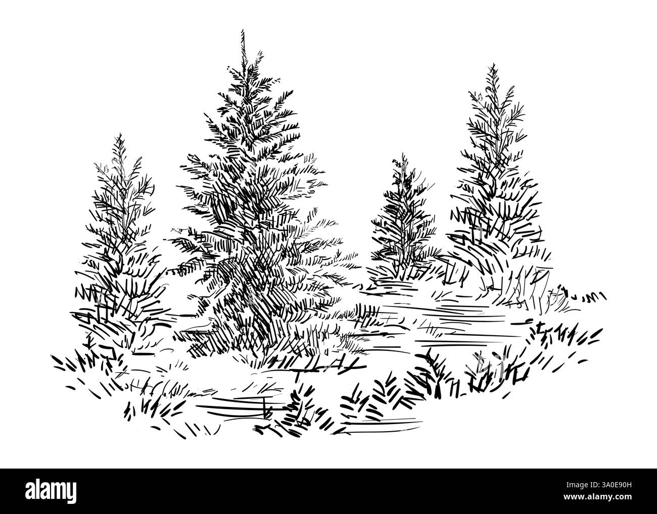 Disegnare a mano un paesaggio con alberi sempreverdi. Schizzo monocromatico della scena rurale. Illustrazione vettoriale isolata su sfondo bianco. Elemento di progettazione. Per p Illustrazione Vettoriale