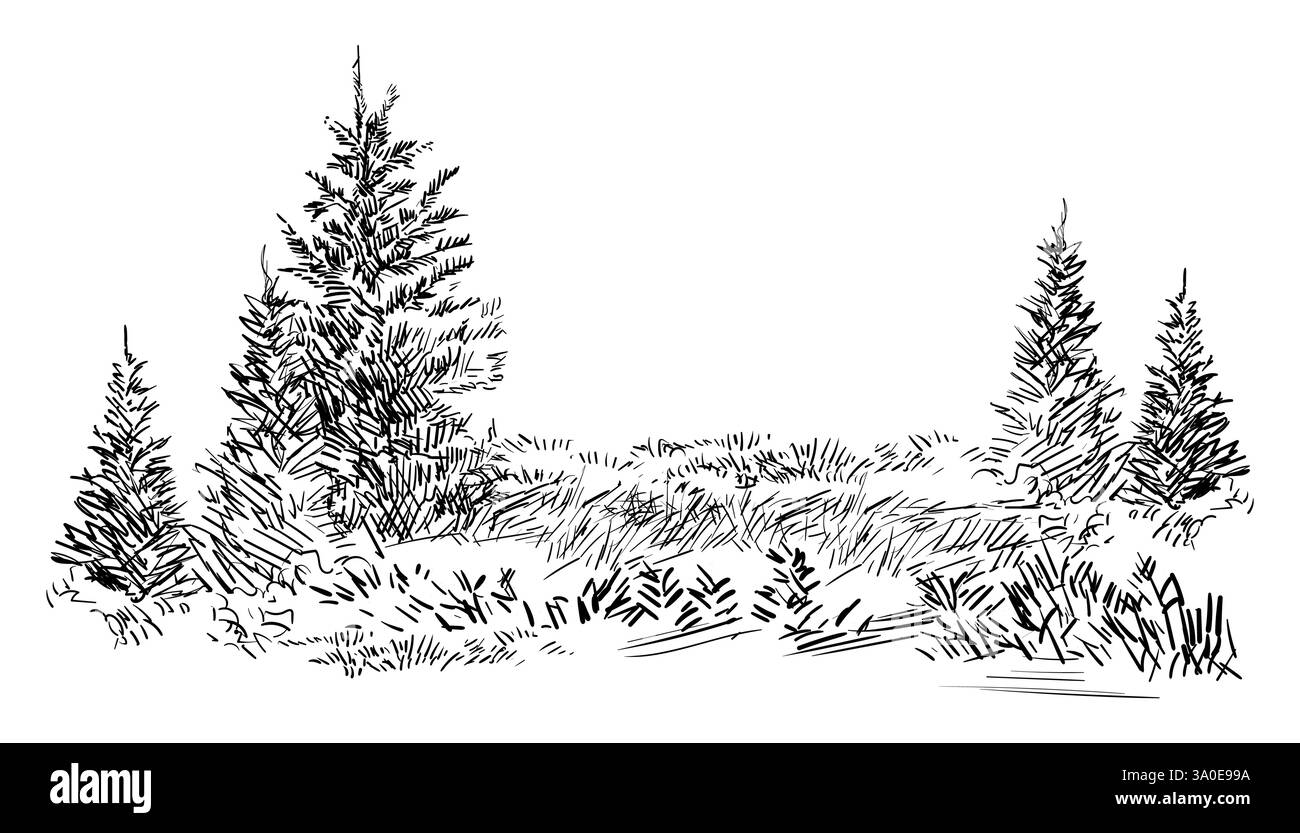 Disegnare a mano un paesaggio con alberi sempreverdi. Schizzo monocromatico della scena rurale. Illustrazione vettoriale isolata su sfondo bianco. Elemento di progettazione. Per p Illustrazione Vettoriale