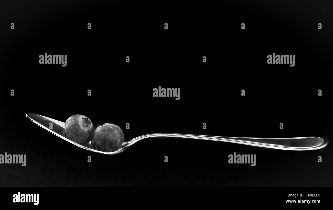 Foto in bianco e nero di 2 mirtilli su un cucchiaio con sfondo nero Foto Stock