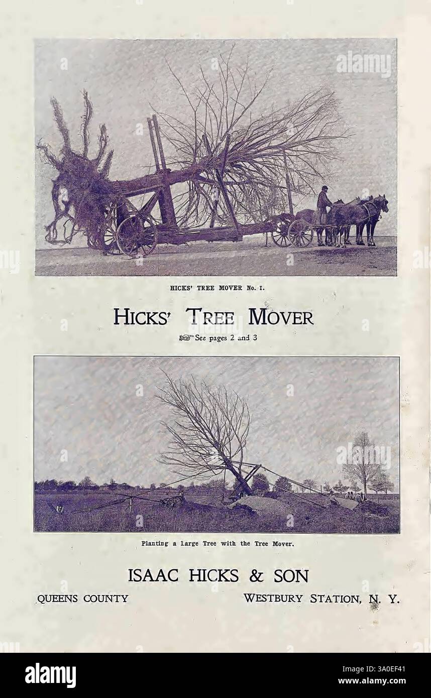 Frutta, Long Island, elenco abbreviato, prato, alberi di strada, sempreverdi, arbusti, rose, viti, fiori duri, Westbury, N. Y, Hicks Nurseries, stato di New york, cataloghi, piante da arrampicata, alberi ornamentali, vivai, vivai di orticoltura, hickstreemover, hicksnurserieswestburynassaucountyny, WestburynassauCounty, l'illustrazione mostra un apparato storico per la rimozione degli alberi noto come Hicks' Tree Mover. La sezione superiore mostra il dispositivo in azione, evidenziando il suo robusto telaio in legno, le ruote grandi e un operatore che guida l'attrezzatura trainata da cavalli. Un albero impressionante, completo della sua uscita Foto Stock