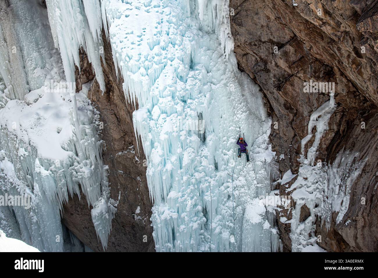 Una donna adulta che fa arrampicata su ghiaccio nell'Ouray Ice Park, nelle San Juan Mountains, Colorado. Foto Stock