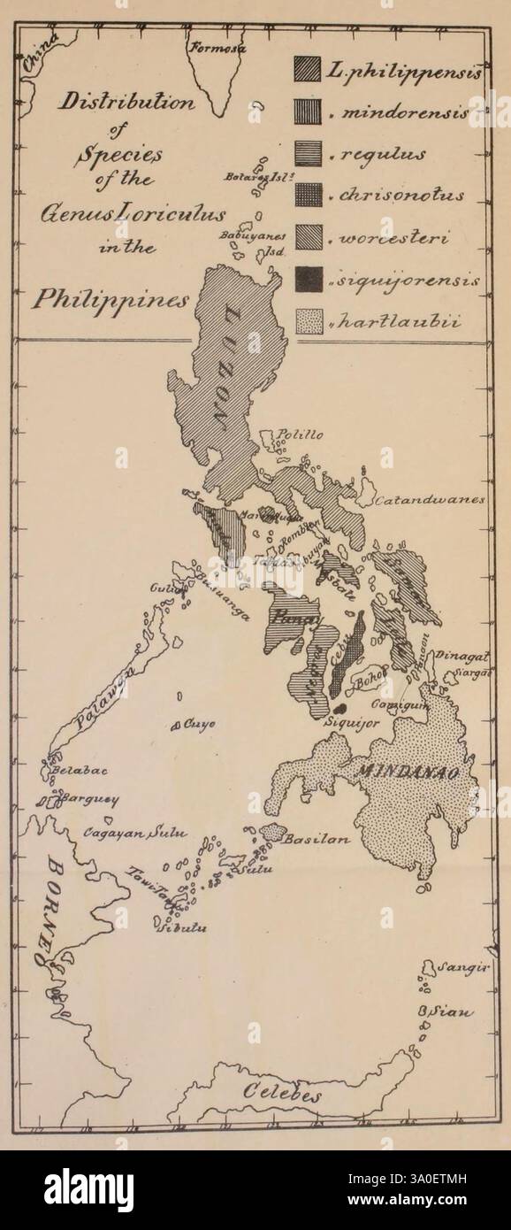 L'Auk, Washington, D. C, American Ornithologists' Union, 1884, uccelli, periodici, una mappa geografica che descrive dettagliatamente la distribuzione di varie specie appartenenti al genere Loricaria attraverso l'arcipelago delle Filippine. La mappa evidenzia regioni specifiche in cui si possono trovare diverse specie, utilizzando vari simboli per rappresentare le posizioni di specie come L. philippinensis, L. mindanensis e altre. Ogni simbolo è chiaramente marcato, consentendo una comprensione visiva della biodiversità all'interno delle Filippine, concentrandosi in particolare sugli habitat di acqua dolce. Regioni chiave, tra cui Luzon, Mindana Foto Stock