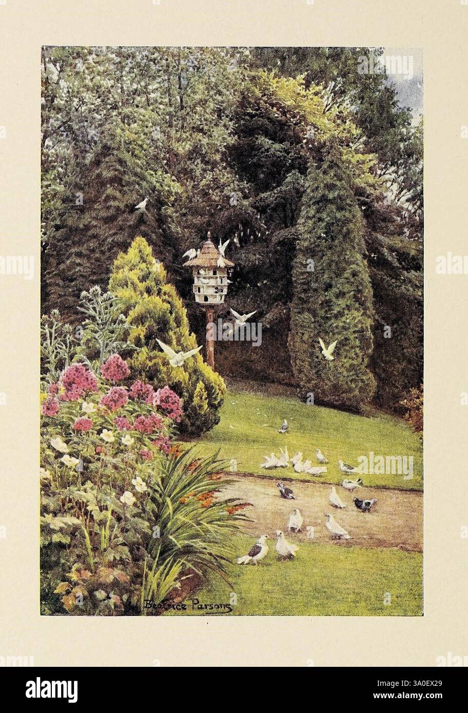 Il richiamo del giardino, New York, il Century Co, 1911, giardini. un tranquillo giardino mostra una vibrante varietà di verde, con arbusti curati meticolosamente e fiori colorati. In primo piano, diversi uccelli si radunano a terra, mentre altri sfrecciano intorno a un alimentatore sospeso tra il lussureggiante fogliame. Lo sfondo è pieno di alberi alti, creando un'atmosfera tranquilla che invita a un senso di pace e connessione con la natura. La composizione generale celebra la bellezza della fauna selvatica e le gioie semplici di un giardino ben tenuto. Foto Stock