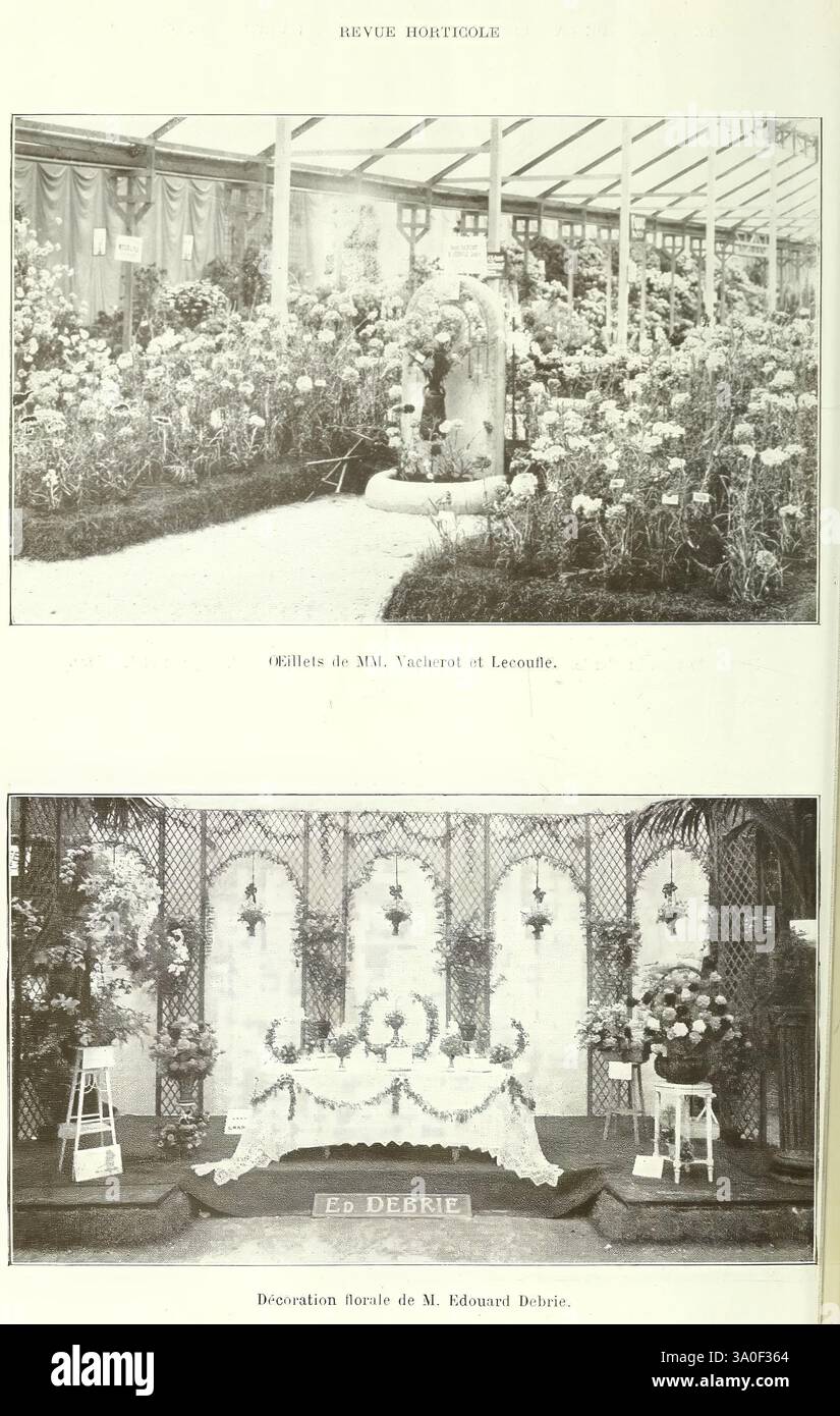 Revue horticole Paris Librairie agricole de la maison rustique 1829-1974 Francia periodici di orticoltura, la scena presenta due distinte esposizioni floreali, che mostrano una disposizione di numerosi fiori in un ambiente serra. La sezione superiore mette in evidenza un monumento splendidamente adornato circondato da una serie di fiori vibranti, creando un'atmosfera serena e rispettosa. Nella sezione inferiore viene presentato un altare decorativo, elegantemente drappeggiato e impreziosito da fiori, a simboleggiare il ricordo e l'onore. La composizione complessiva trasmette un senso di tranquillità e riverenza, enfatizza Foto Stock