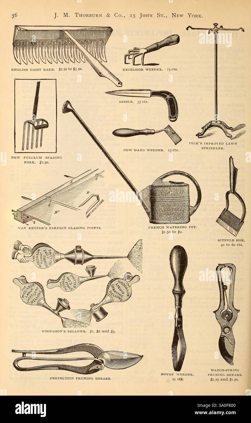 In questa pagina viene presentata una raccolta di attrezzi e attrezzature da giardinaggio vintage, che mostrano vari attrezzi progettati per attività agricole e giardinaggio. In primo piano sono presenti un rastrello inglese, una nuova versione dello strumento Spalding e una serie di attrezzi manuali, tra cui una zappa e una spazzatrice. Tra gli altri articoli sono inclusi una vaschetta da irrigazione francese, un cesoia per potare, un soffietto per soffiare aria e un esclusivo design sprinkler per prati. La pagina mette in risalto la maestria artigianale con etichette chiare e prezzi per ogni articolo, che riflettono le pratiche agricole storiche e l'importanza di strumenti ben progettati nella manutenzione Foto Stock