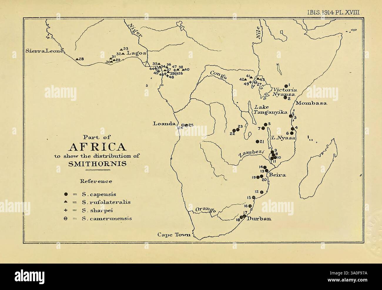 Ibis, Londra, pubblicato per la British Ornithologists' Union da Academic Press, ornitologia, periodici, Una mappa storica che raffigura una parte dell'Africa, mostrando varie località segnate da punti e annotazioni. Ogni punto rappresenta siti significativi, probabilmente di interesse archeologico o antropologico, associati a ricerche o scoperte dello Smithsonian Institution. La mappa include etichette che identificano le caratteristiche geografiche e le posizioni principali, che denotano il più ampio contesto di esplorazione e studio nella regione. Le notazioni chiave possono indicare categorie o tipi di interesse diversi Foto Stock
