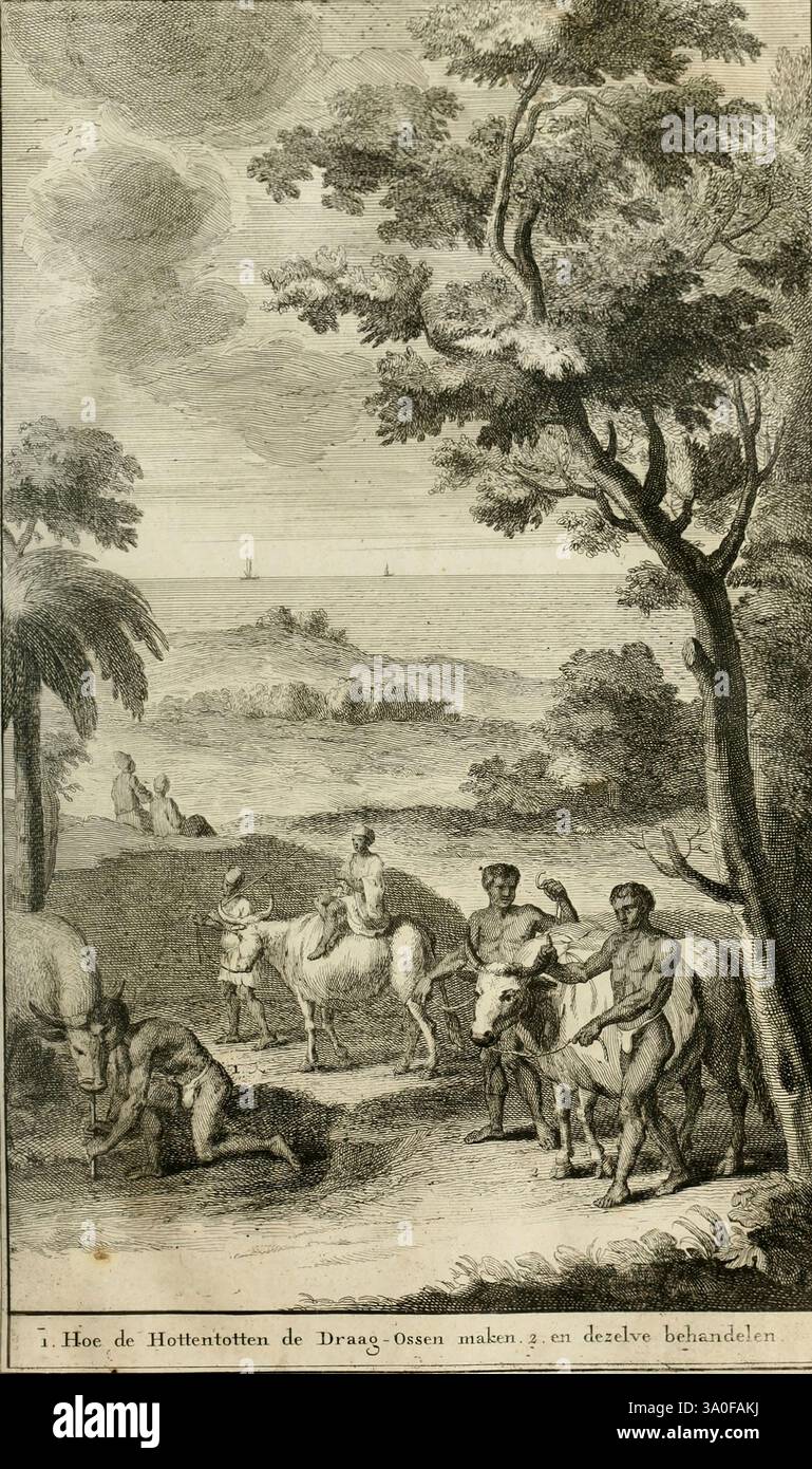 Naaukeurige en uitvoerige beschryving van kaap de Goede Hoop, Amsterdam, di B. Lakeman, 1727, Sudafrica, storia naturale, Capo di buona speranza, Descrizione e viaggio, Capo di buona speranza Sud Africa, popolo africano di Khoikhoi, la scena raffigura un paesaggio sereno in cui gli individui si impegnano in varie attività in mezzo alla natura. In primo piano, due uomini sono visti tendenti ai cavalli, mentre una terza persona sembra osservare. Nelle vicinanze, un altro individuo si trova, forse discutendo o interagendo con un gruppo sullo sfondo. Alberi lussureggianti incorniciano l'ambiente, proiettando ombre attenuate sul terreno. In t Foto Stock