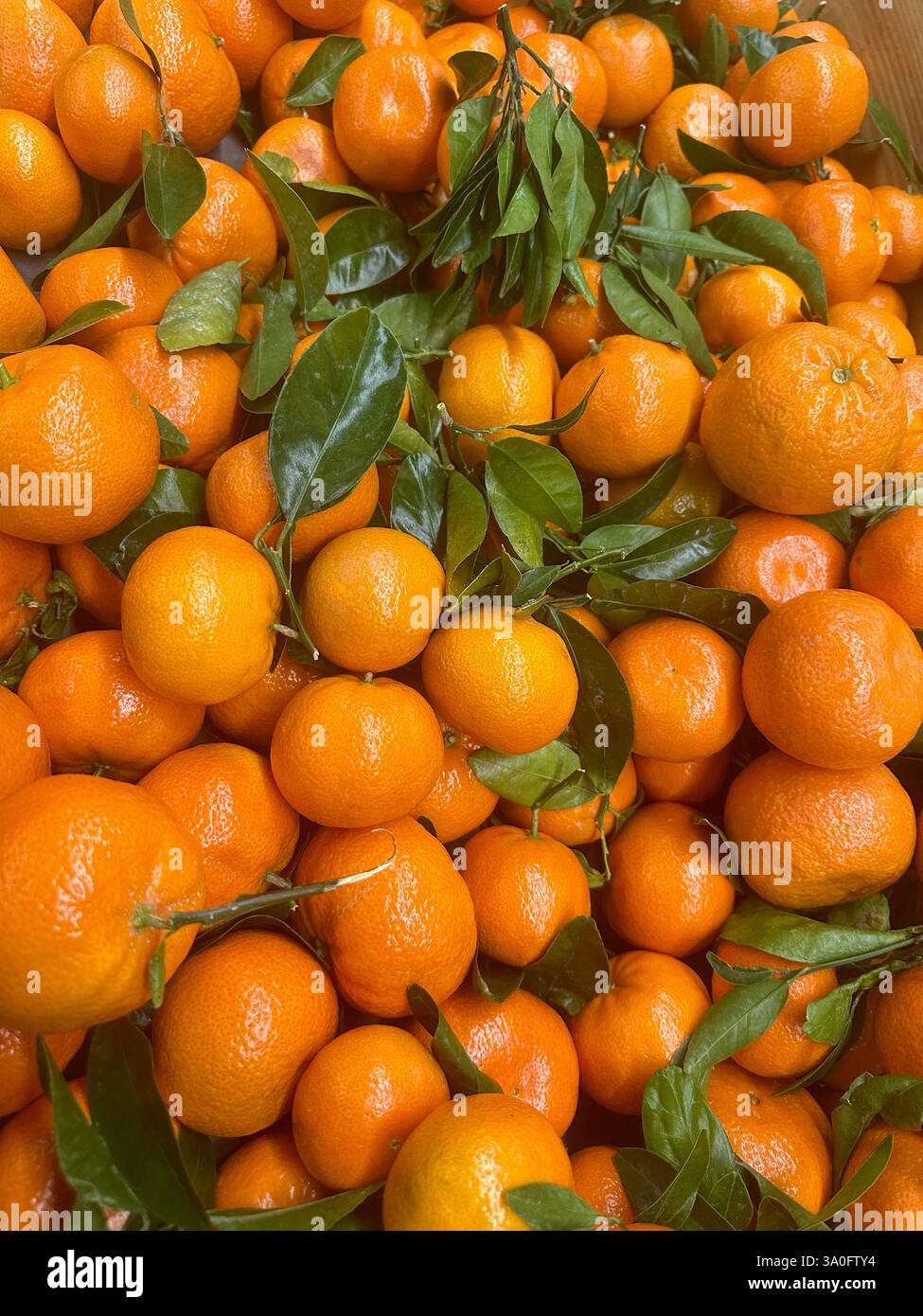arance fresche al mercato - Immagine stock catturata con smartphone
