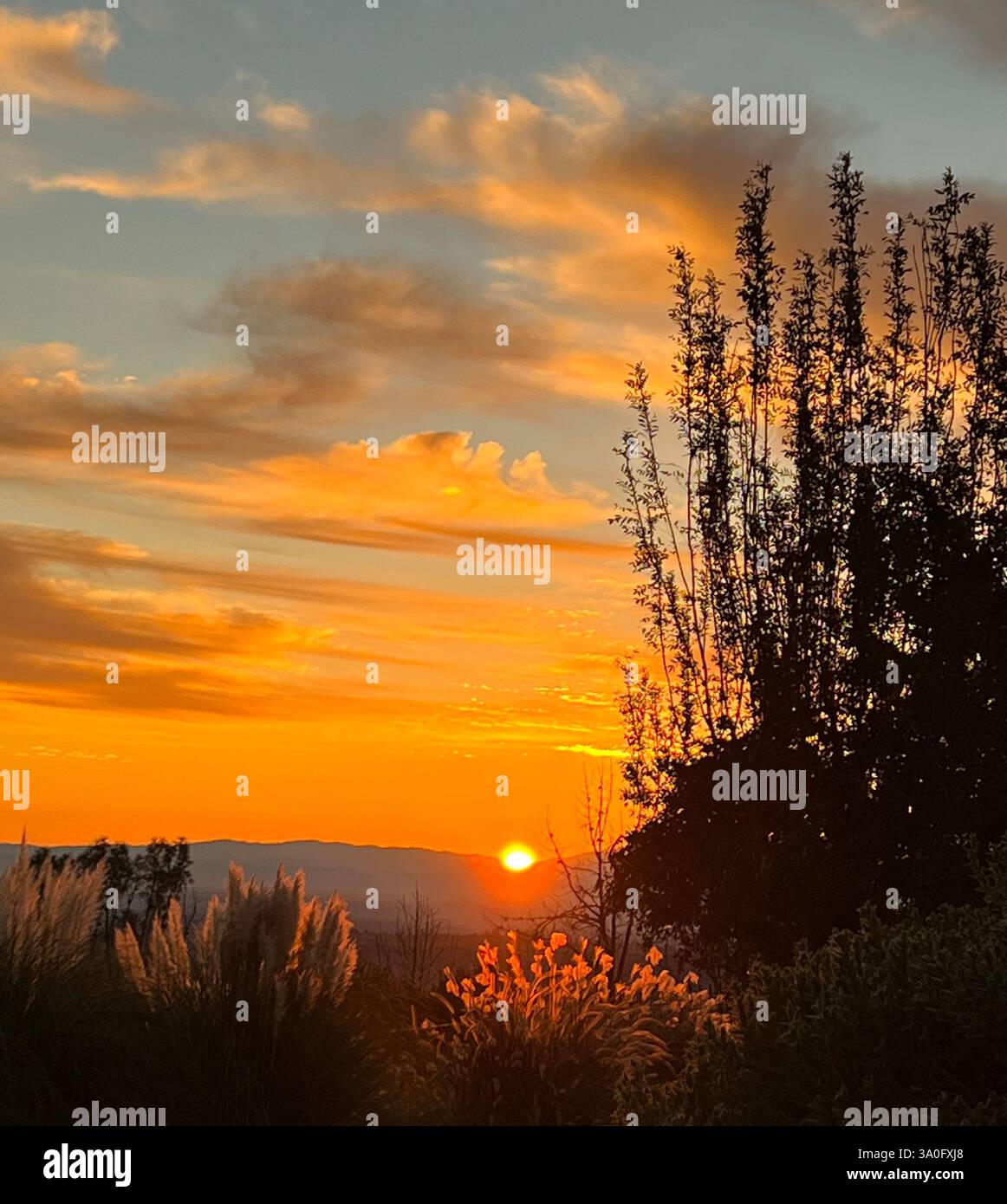 Bellezza al tramonto - Immagine stock catturata con smartphone