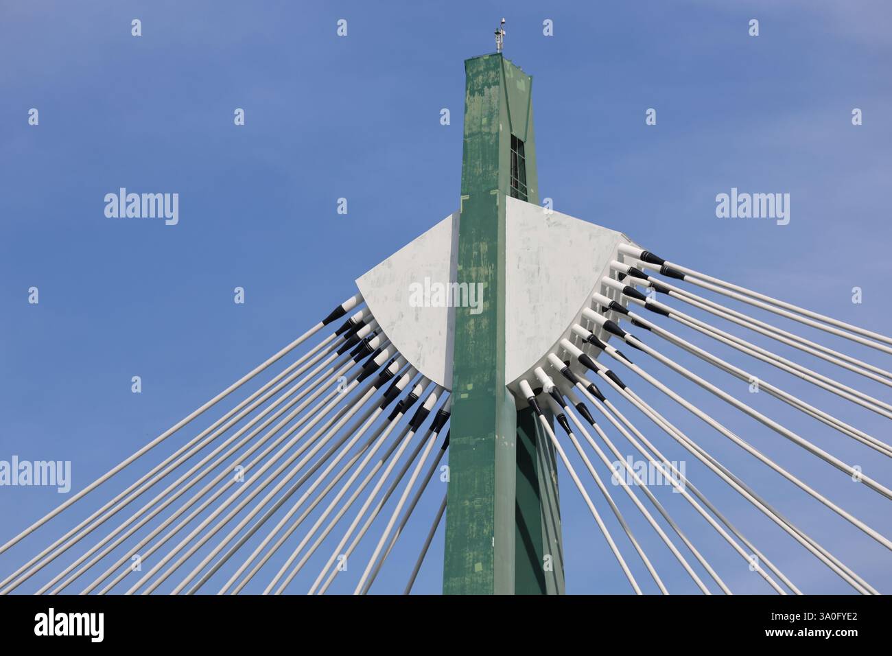 Ponte sospeso via cavo Vienna Austria Foto Stock