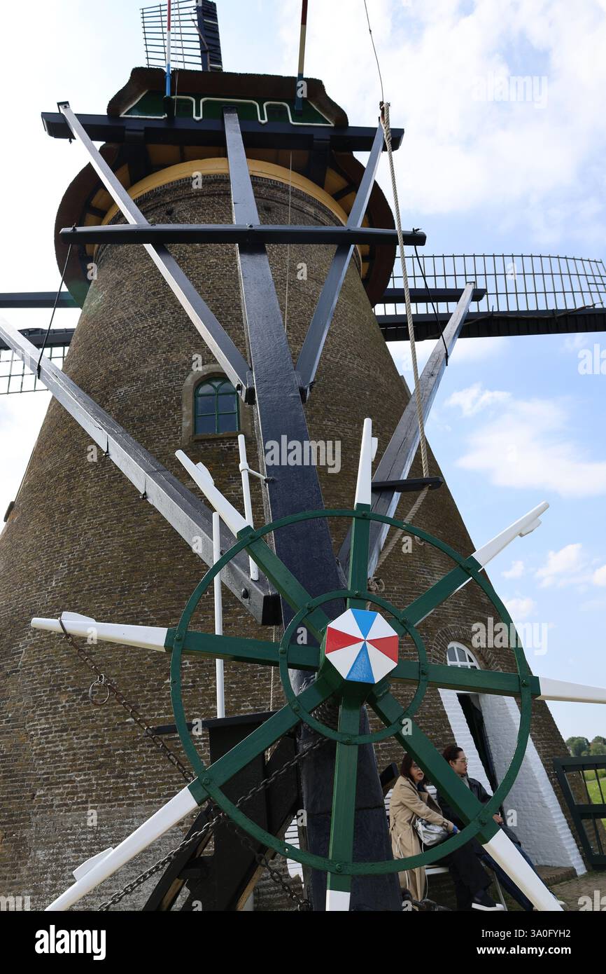 Mulino a vento olandese Foto Stock