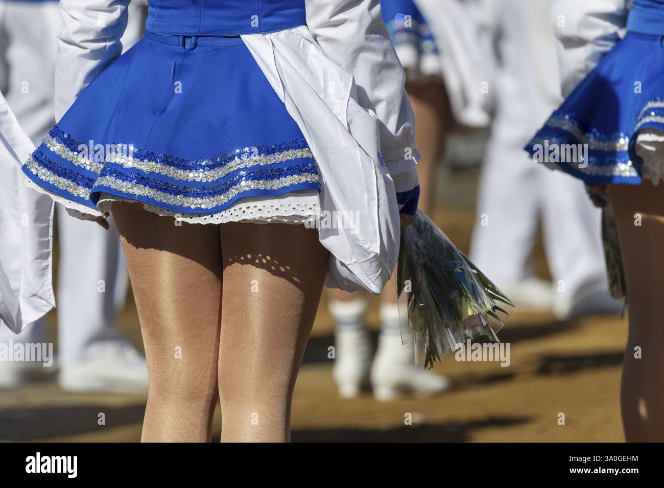 Jecken, Rosenmontag, Carnevale, Colonia, Renania, Renania settentrionale-Vestfalia, Germania, Europa Foto Stock